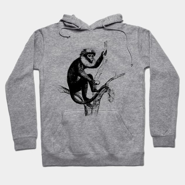 Primate Nature Drawing Hoodie by KnuckleTonic